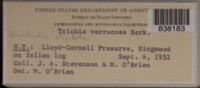 Image Associated With the Occurence